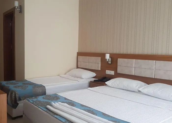 Olympic (adults Only)