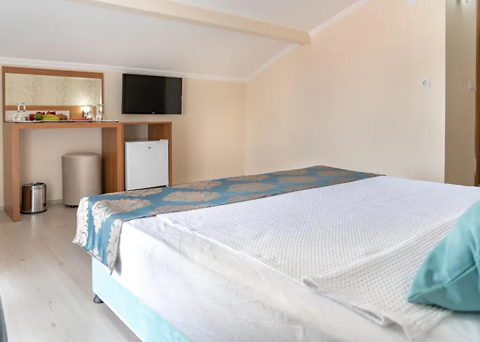 Olympic (adults Only) ホテル ベレキ