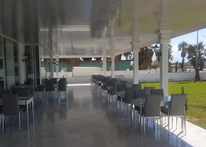 Olympic (adults Only)