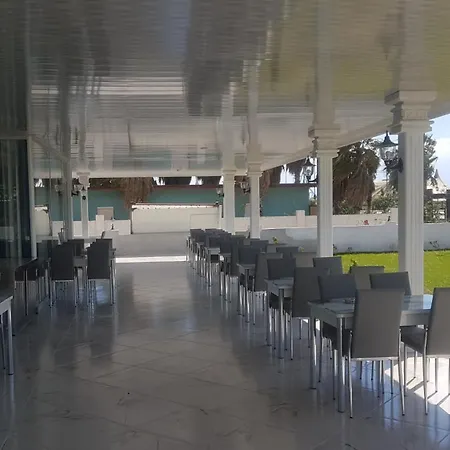 Olympic (adults Only)