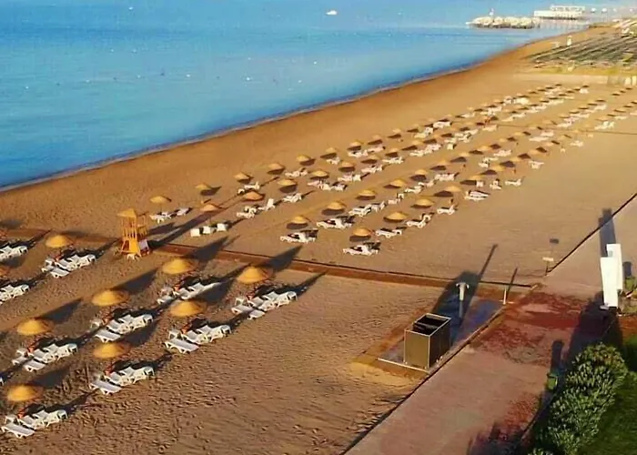 Olympic (adults Only)